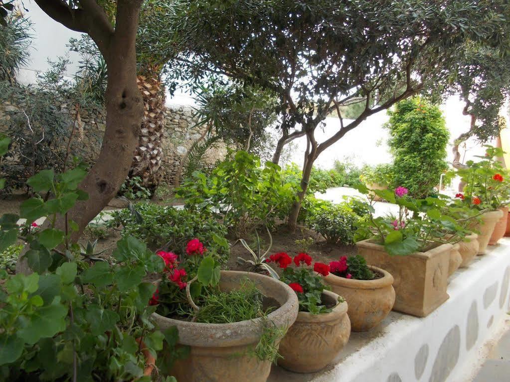 Matina Hotel Mykonos Town Luaran gambar